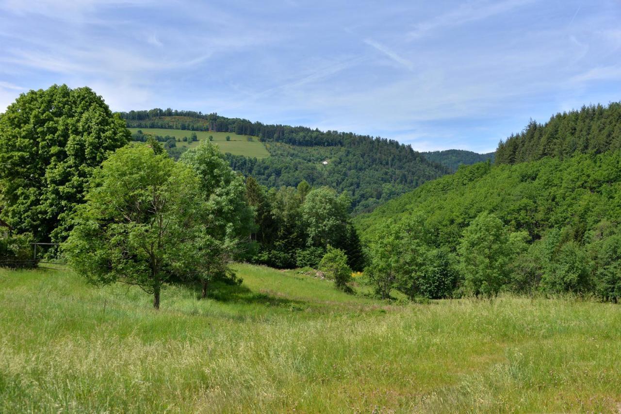 Gite De La Chapelle Des Mineurs Sainte-Marie-aux-Mines Kültér fotó